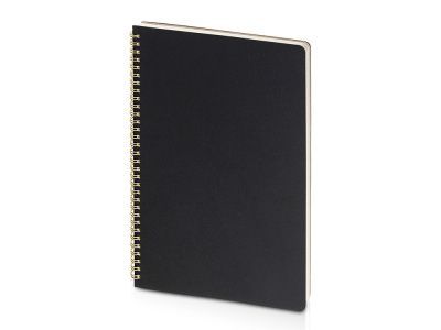 Бизнес-тетрадь А4 «Pragmatic»