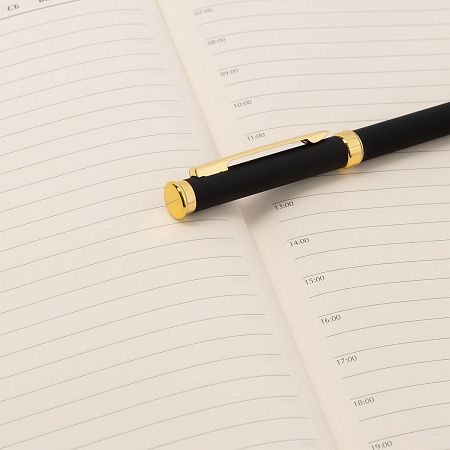 Шариковая ручка Бенуа (Benua), черная/позолота