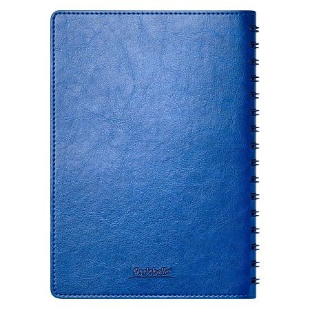 Ежедневник Виста Нео (Vista Neo) недатированный, ярко-синий