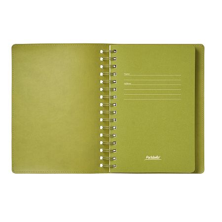 Ежедневник Виста (Vista) недатированный, зеленый/салатовый