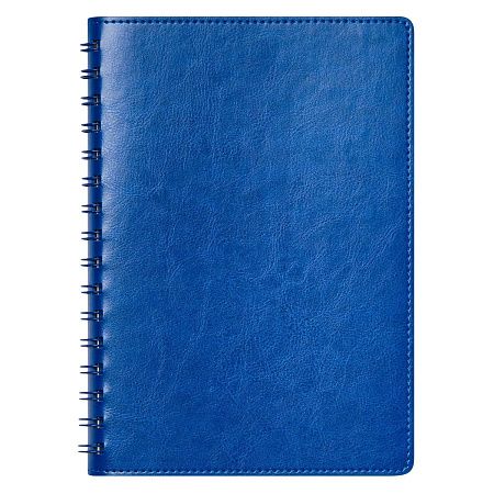 Ежедневник Виста Нео (Vista Neo) недатированный, ярко-синий