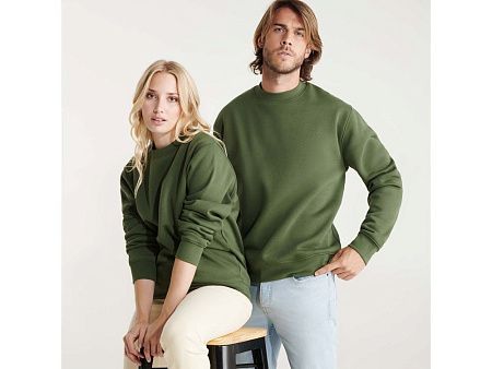 Свитшот с начесом «Clasica» унисекс