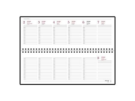 Планинг датированный «Ideal New» на 2025 год