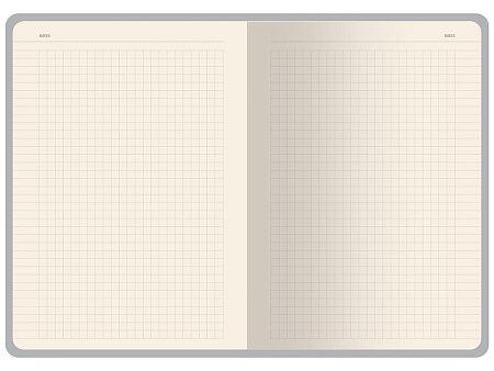 Бизнес-тетрадь А5 «Pragmatic Contrast»