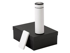 Подарочный набор "COLOR IT" c термосом и повербанком