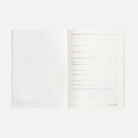 Ежедневник Repute, недатированный, синий