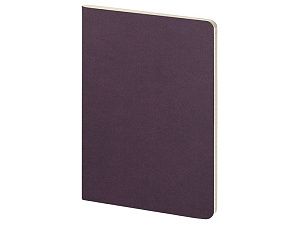 Бизнес тетрадь А5 «Pragmatic»