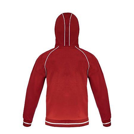 Толстовка мужская COIMBRA 320