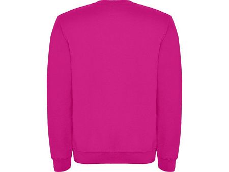 Свитшот с начесом «Clasica» унисекс