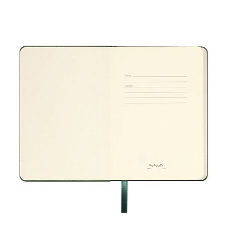 Ежедневник Спарк мини (Spark mini) A6 недатированный, зеленый