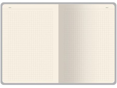 Бизнес тетрадь А5 «Pragmatic»