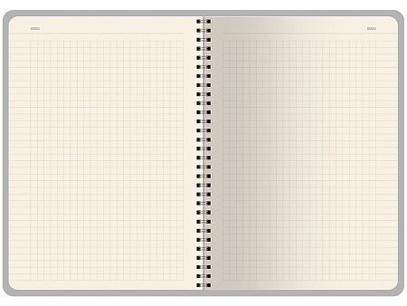 Бизнес тетрадь А5 «Pragmatic»