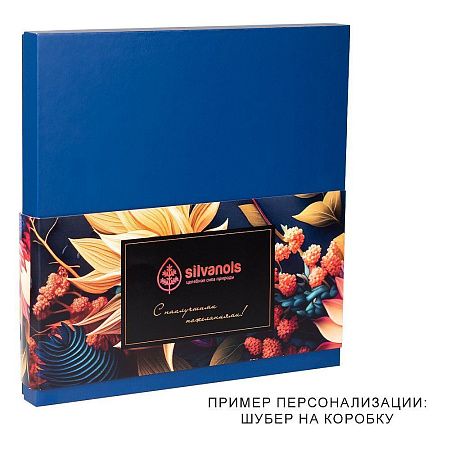 Набор подарочный Solution Superior Duo, синий