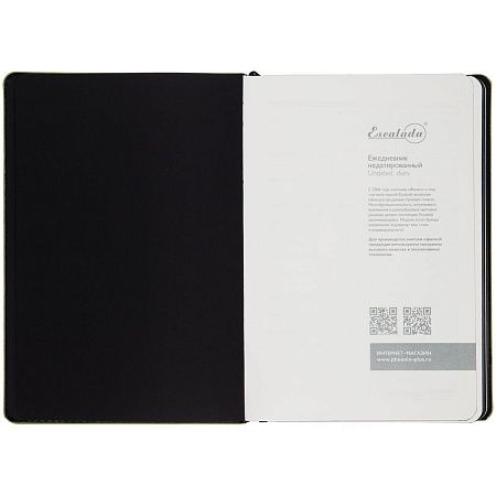Ежедневник Alanis, недатированный, черный с зеленым