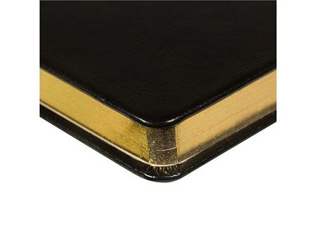 Ежедневник недатированный А5 «Megapolis Nebraska»