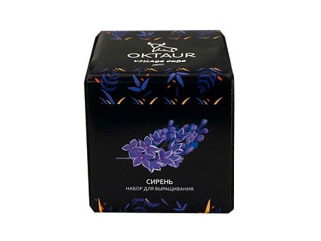 Набор для выращивания «Small village cube «Сирень»