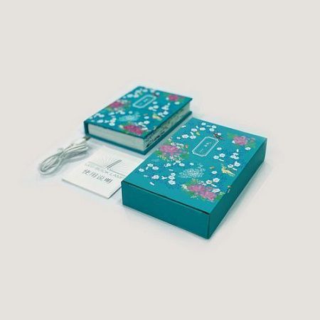 Интерьерная лампа Open book