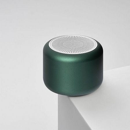Беспроводная колонка Пэшн (Passion) 80dB 600 mAh (Bluetooth 5.4), зеленая