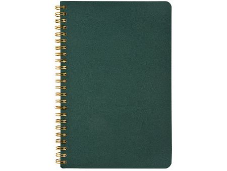 Бизнес тетрадь А5 «Pragmatic»