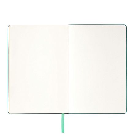 Ежедневник Спарк (Spark) недатированный, мятный (без упаковки, без стикера)