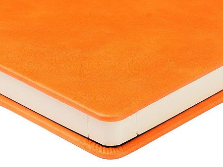 Ежедневник недатированный А5 «Premier»