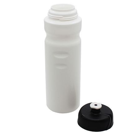 Бутылка для напитков Active Blue line, 750 мл