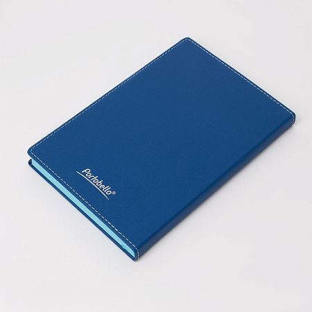 Ежедневник B2Book Medio Wing недатированный, синий