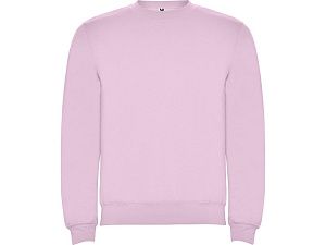 Свитшот с начесом «Clasica» унисекс