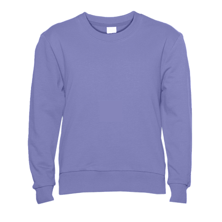 Свитшот детский STAN футер без начёса, 260, 63J, Сливовый,  (95)  (12/12 лет)