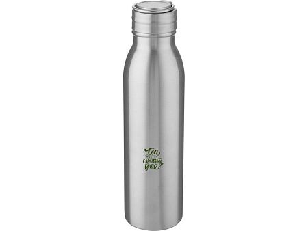 Бутылка для воды с металлической петлей «Harper», 700 мл