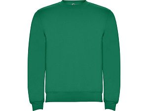 Свитшот с начесом «Clasica» унисекс