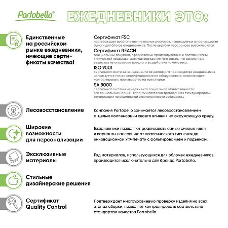 Ежедневник Stella недатированный с магнитом на обложке, бирюзовый