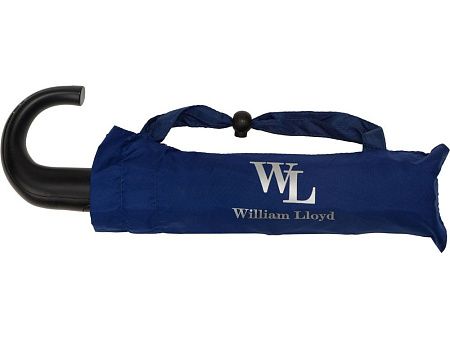 Зонт складной, цвет: синий