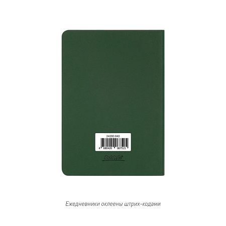 Ежедневник Спарк мини (Spark mini) A6 недатированный, зеленый