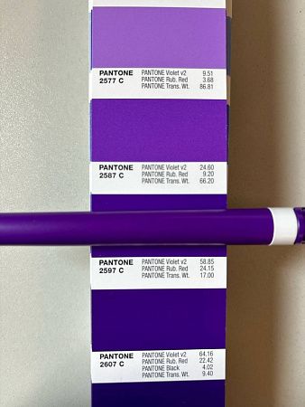 Ручка шариковая пластиковая Ravena Color фиолетовая/белая