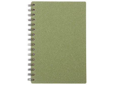 Блокнот А5 на спирали «Mania»