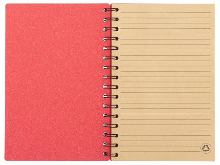 Блокнот А5 на спирали «Mania»