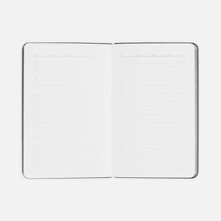 Ежедневник Flexpen Mini, недатированный, голубой