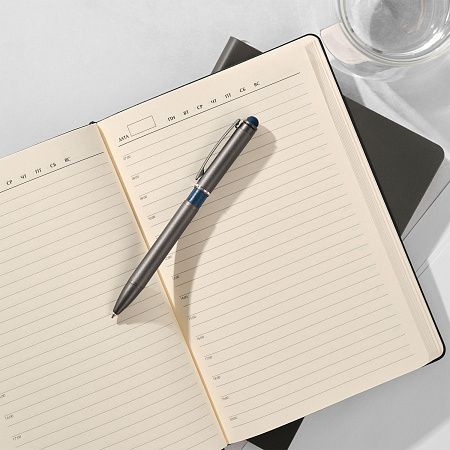 Шариковая ручка АйПи Хамелеон (IP Chameleon), синяя