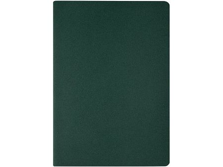 Бизнес-тетрадь А4 «Pragmatic»