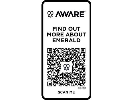 Рубашка поло «Emerald», унисекс