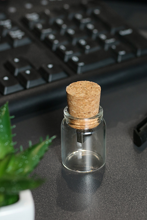 Флешка GLASS Прозрачная 4038.20.4ГБ