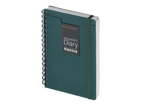 Ежедневник недатированный А5 «Pragmatic»