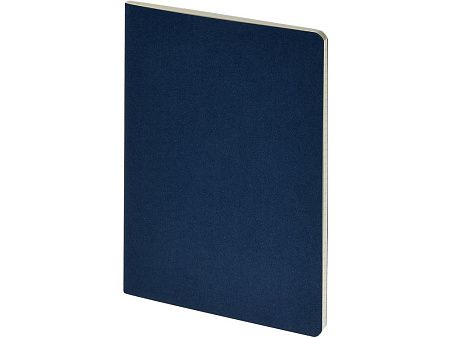 Бизнес-тетрадь А4 «Pragmatic»