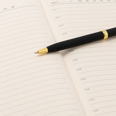 Шариковая ручка Бенуа (Benua), черная/позолота