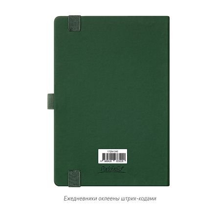 Ежедневник Alpha недатированный, зеленый/оливковый