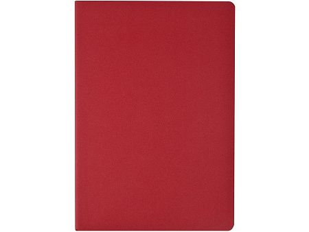 Бизнес тетрадь А5 «Pragmatic»