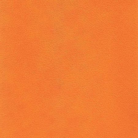 Ежедневник Flexy Asstra Petrus A5, оранжевый, недатированный, в гибкой обложке