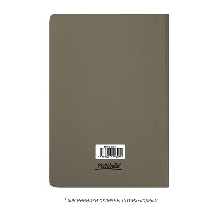 Ежедневник Спарк (Spark) недатированный, серый (без упаковки, без стикера)