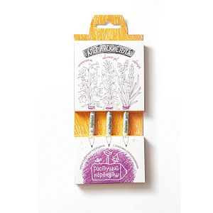 Набор графитных бумажных карандашей 3шт.